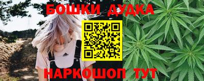 ALPHA PVP Пугачёв