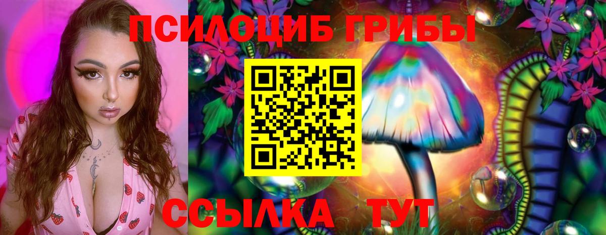 Псилоцибиновые грибы мицелий  Вход с VPN  Скопин 